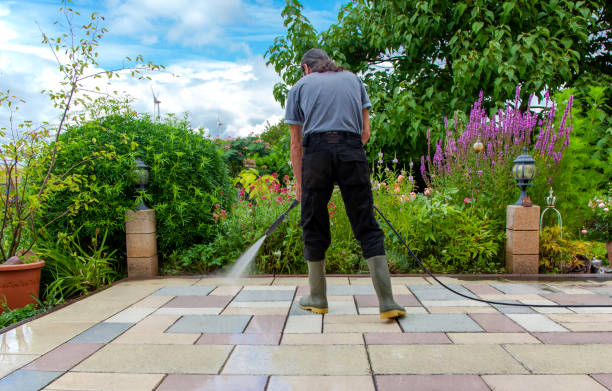Best Sidewalk and Walkway Cleaning  in Sells, AZ